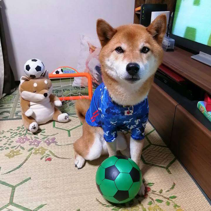 Ea4f0432 99a3 41a4 bfe6 1ec116685197 1623066050416