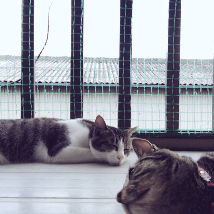 Ea4f8412 153a 414a a352 5b1deedfcf0e 1533008035504