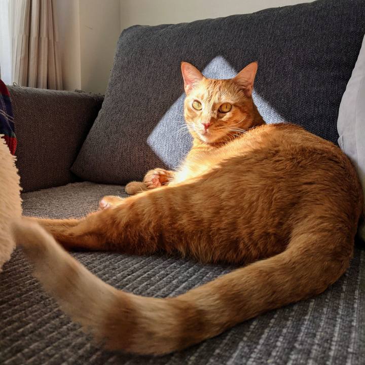 Ea4fa714 dbbb 4055 bb2f 1c0288517de7 1635048309080