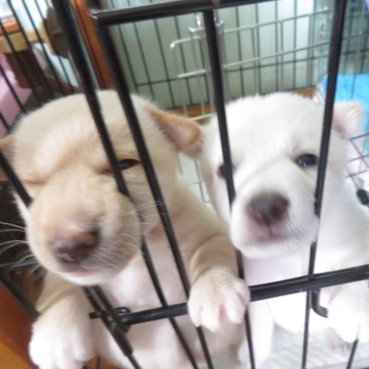 Ea4ff83a d62c 493b a623 f5ad07220de3 1582371514614