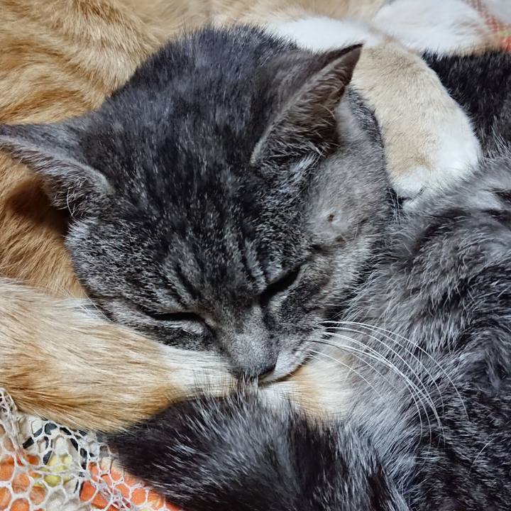 Ea50c629 5f8d 4476 8dc8 805467887481 1581250726952