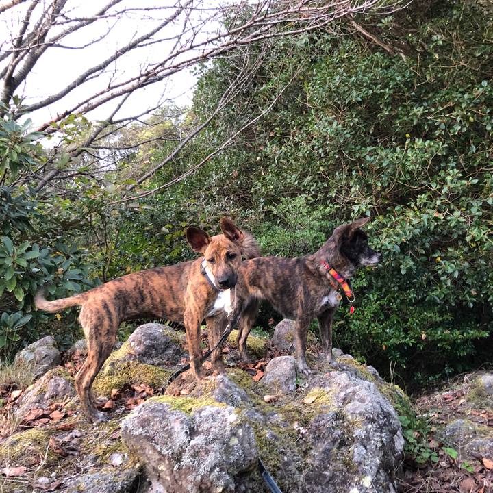 Ea50d636 6aca 4589 a2cb 98f901dc224f 1573569778672