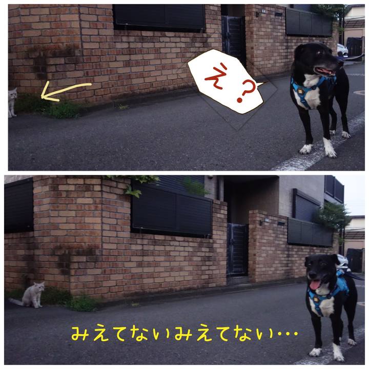 Ea50fdd9 7361 40d8 94cd 88ea9fc492d4 1691667256832