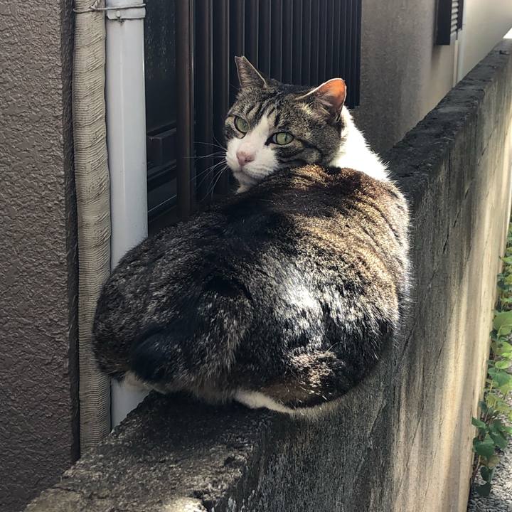 Ea5133fe 9b75 468f 9158 b7e47dd5702f 1556443129870