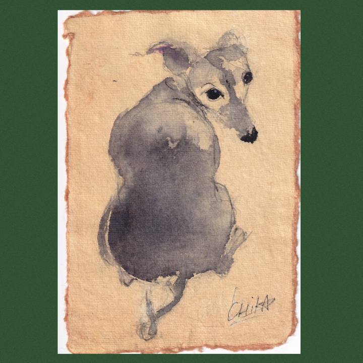 Ea517c41 9413 4656 95b7 0ca047ad89a2 1747525238588