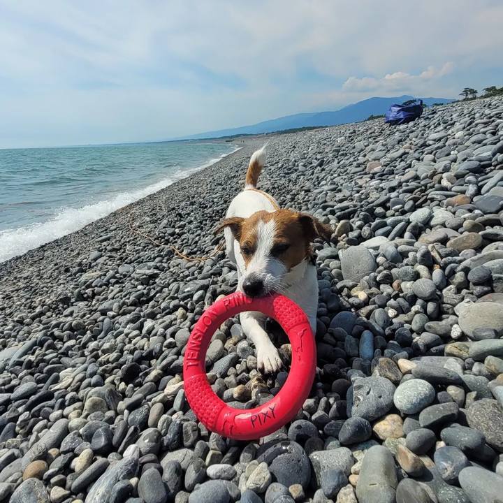 Ea51a9f6 343a 43a7 9272 8b61424f57b0 1689979288453