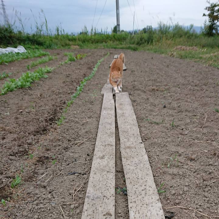 Ea520c2d 7896 49d2 84b2 e7ccd3411c5c 1569139109700