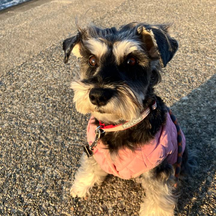 Ea5227ee 50f0 4881 9499 185e43252d6c 1771423889648