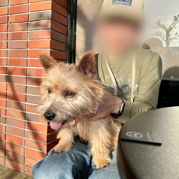 Ea5236e6 238c 4eec a2e4 d233fe20a56b 1712499569724