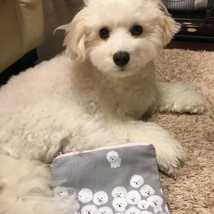 Ea5251c0 ea89 4d72 81d0 4b60b7c463ea 1564046239404