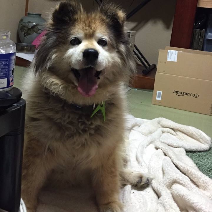 Ea527b91 a9b2 42b4 86e8 27df3b9763b3 1613667851075