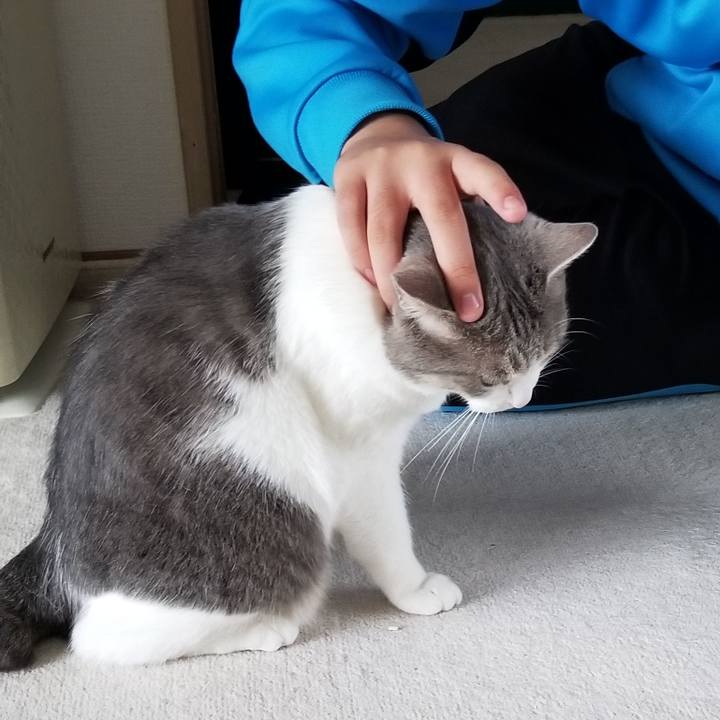 Ea528aa8 da19 4c72 82eb 814f22f33e46 1685770819245