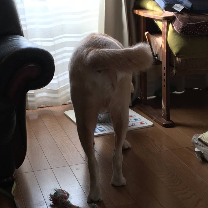 Ea529fb4 f8f2 49d4 8927 cf65468114d9 1539647427249