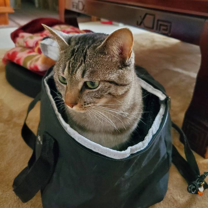 Ea52a908 cb14 4eb4 8608 10949b2c9302 1713234655463