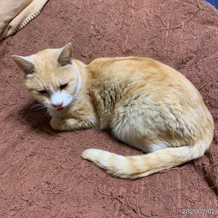 Ea52b26c bdc0 4de6 973e 60f72a52bfa2 1612269401042