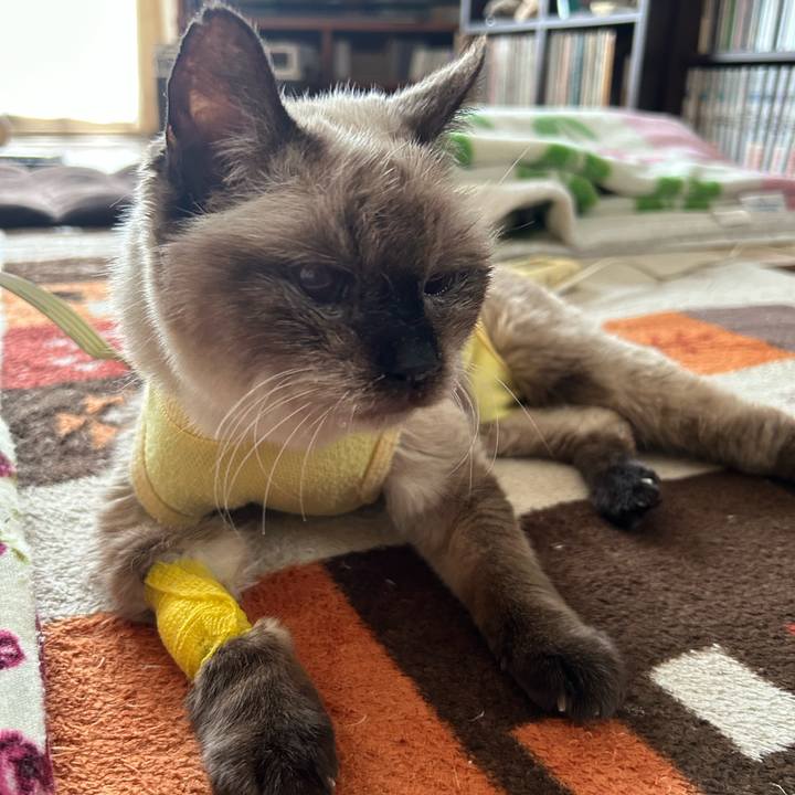 Ea53020e cc39 4f1f ba21 844d35743128 1698203329235