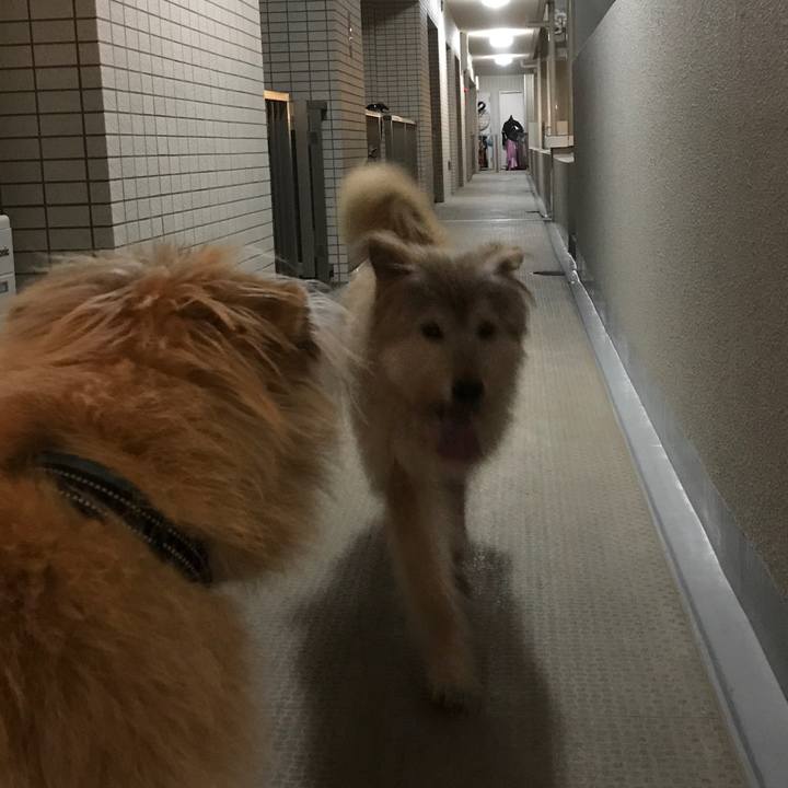 Ea531596 e5fb 4a4c 8946 91560b0e7218 1544456435690