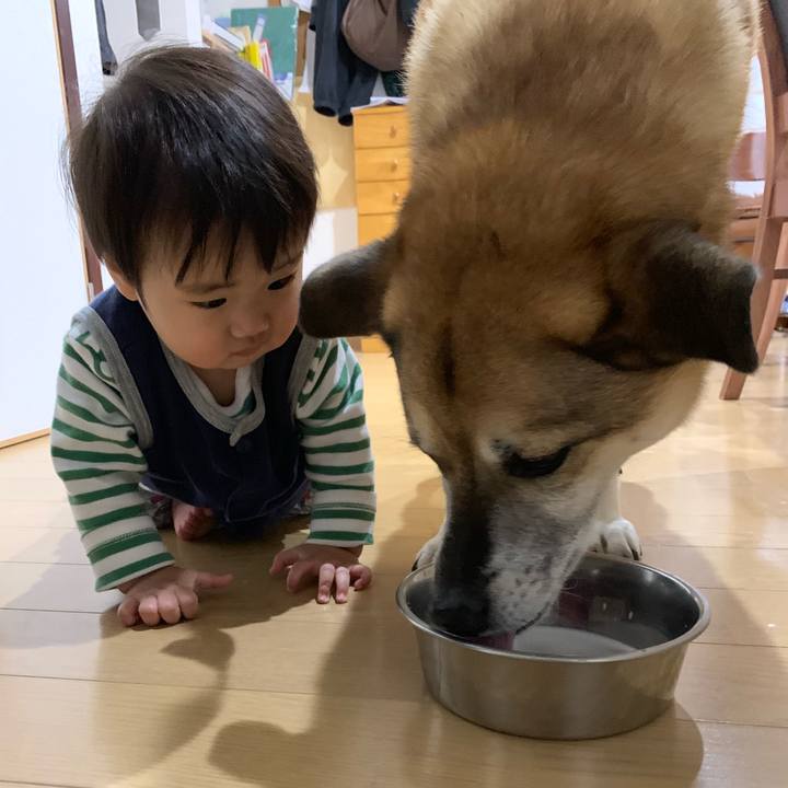 Ea532ac7 728f 4872 b398 1e566860f612 1553426402315