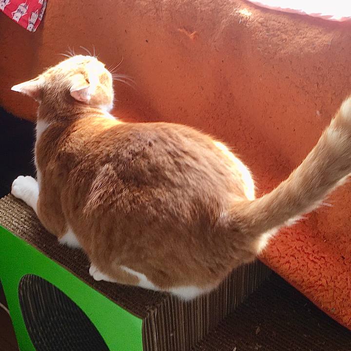 Ea53593b 22ae 4b20 adda b72b18f32744 1581305846997