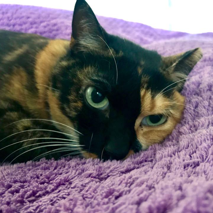 Ea539713 12a2 40d7 be5a e455527e119b 1575687394801