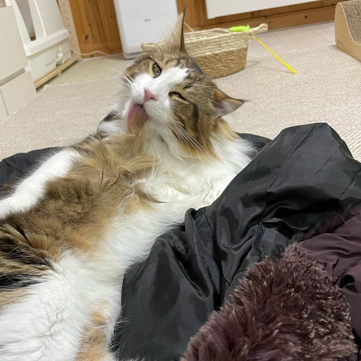 Ea53c889 732e 4e63 84bf 168c3b596113 1647424264346