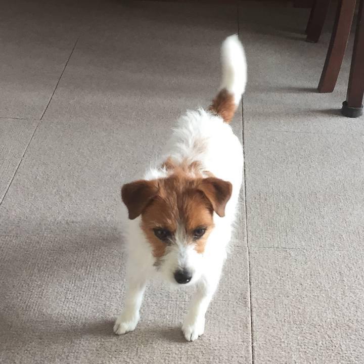 Ea53eb60 88d4 48b6 bed6 dea464872b55 1513089168285