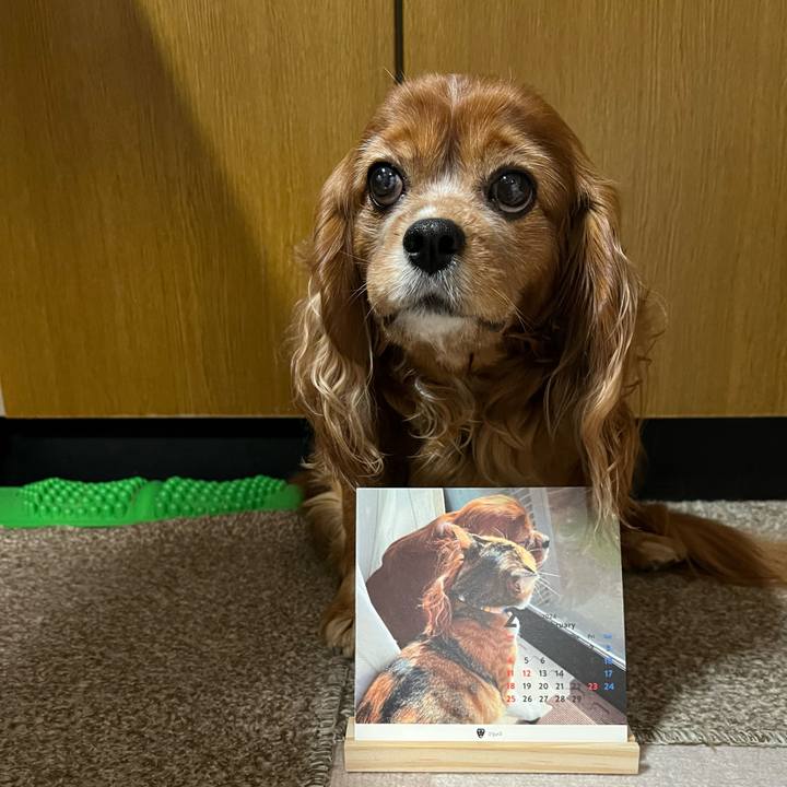 Ea53f266 60e2 4d79 a6e4 128e526796c2 1706740507660