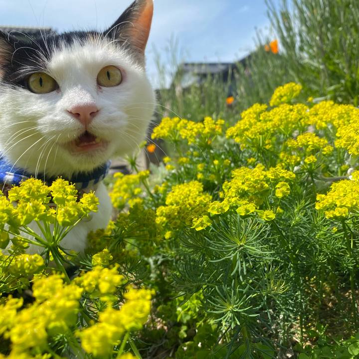 Ea5411b2 f606 4007 8580 65a2ffa706c1 1649566453138