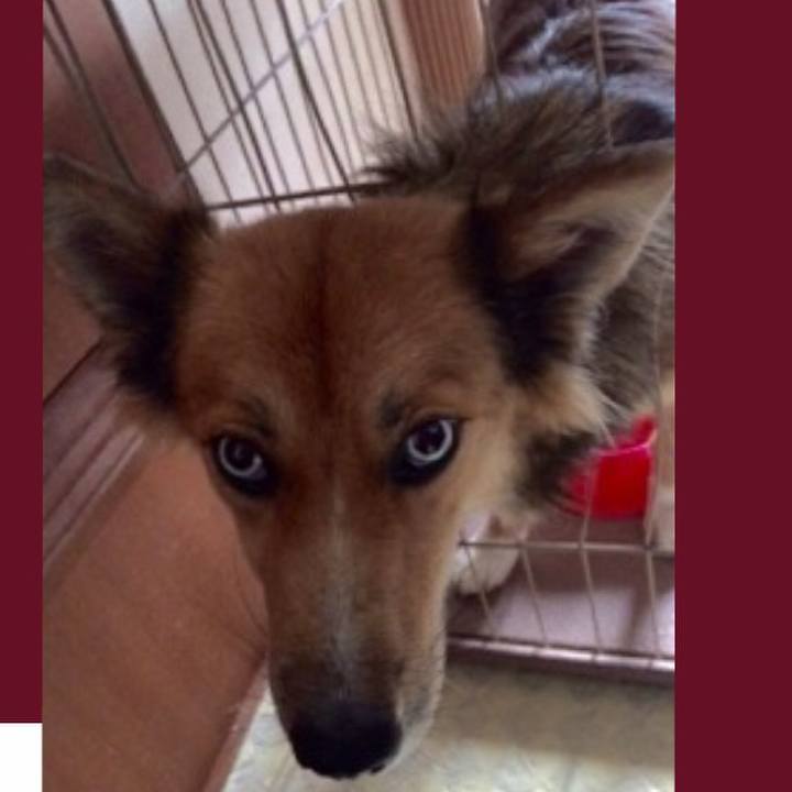 Ea548673 99ed 4d7d aa5e 2083d2ecce91 1563125375779