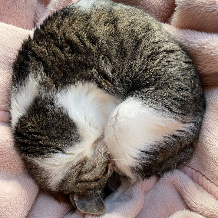 Ea5493ee 76b5 4212 8228 6bcfd947b878 1640138539418