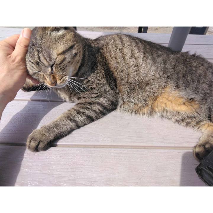 Ea54f905 4c0d 4f54 8dfc 2a3caf94db89 1715736737741