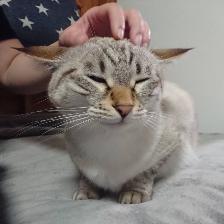 Ea5564a3 d93e 463d a2dd f994a9575abe 1572783850562