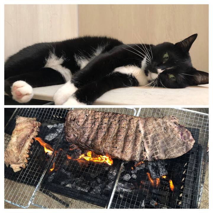 Ea55ad56 d906 4f89 991d 512b63b28e20 1568757198400