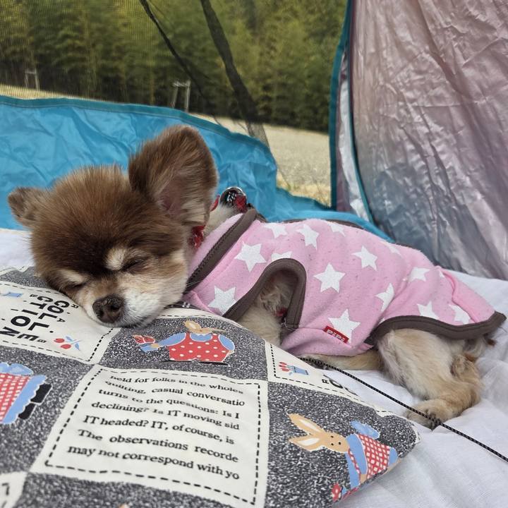 Ea55c586 4828 4634 bae0 9b3a86f905b2 1774154756020