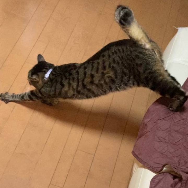 Ea55cca5 c1dc 49b1 9662 f1ae74a7c694 1612870328995