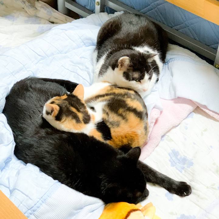 Ea560cf6 5a64 4fb3 85cc 046873f66c91 1593143476097