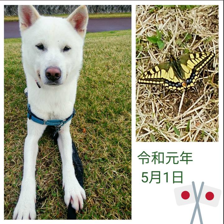 Ea562974 5928 4e7d be11 ae2434b51ee7 1556689344600