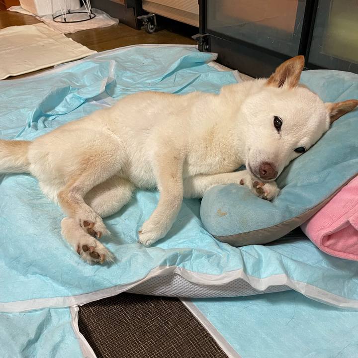 Ea563c76 8e3e 47de b3ec 184d81e36f47 1651068954515