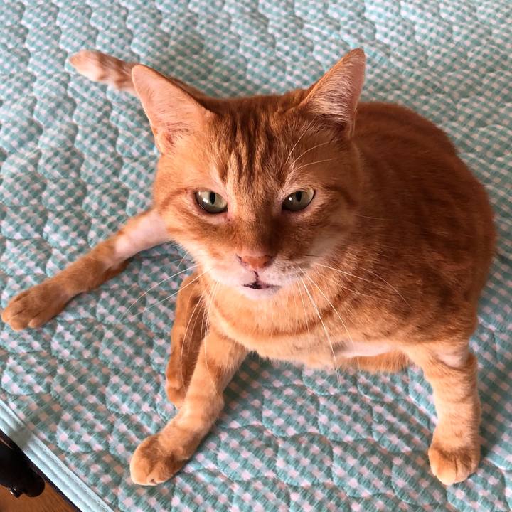 Ea5654ac b23f 4131 8ea8 7fec4608255f 1657577449056