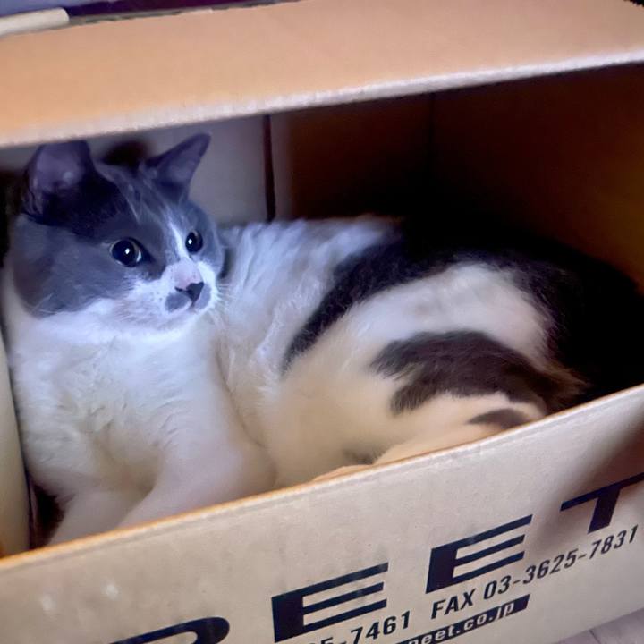 Ea567f06 46f8 4dbe 894b d50244d69fac 1654610793629