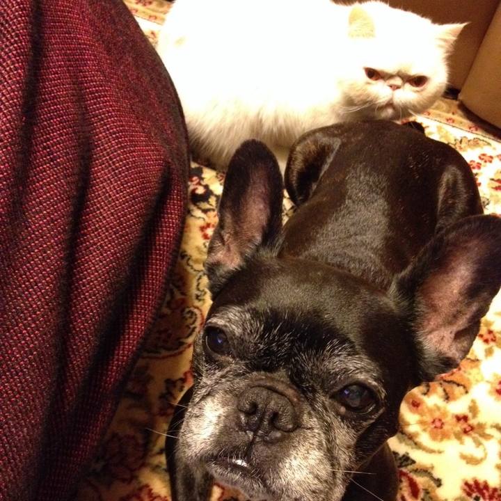 Ea569eaa 84b3 454b 80de 098544161b84 1510670293250