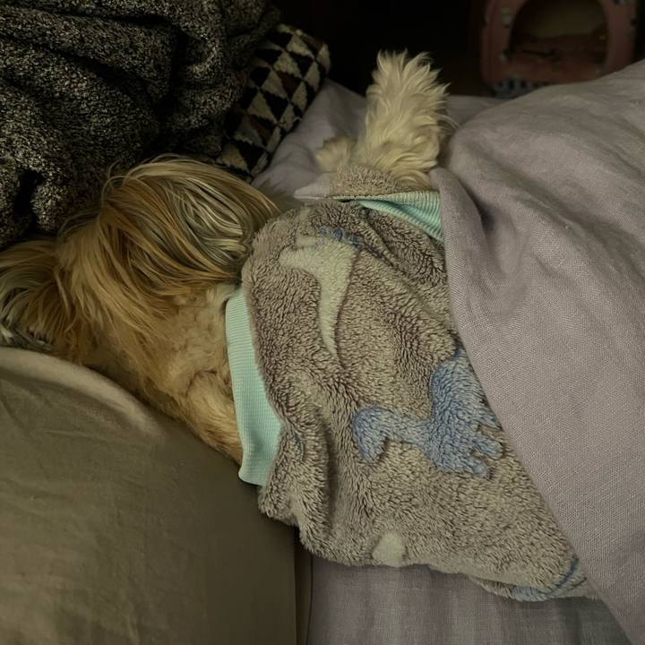 Ea56a59a 63bd 42c5 8666 0edb878c73c8 1771559648475