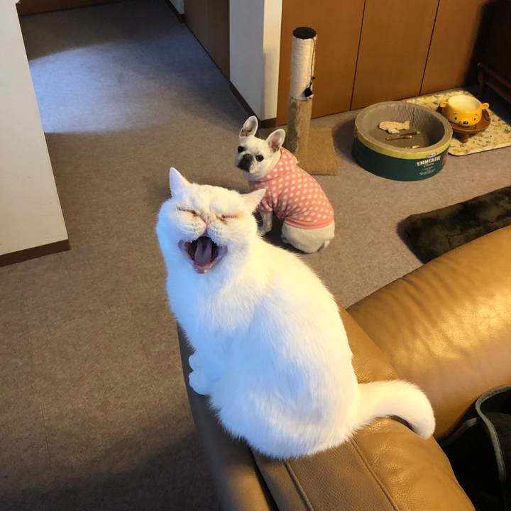 Ea56d7f7 e058 4491 a338 a11a25de145d 1614420405319