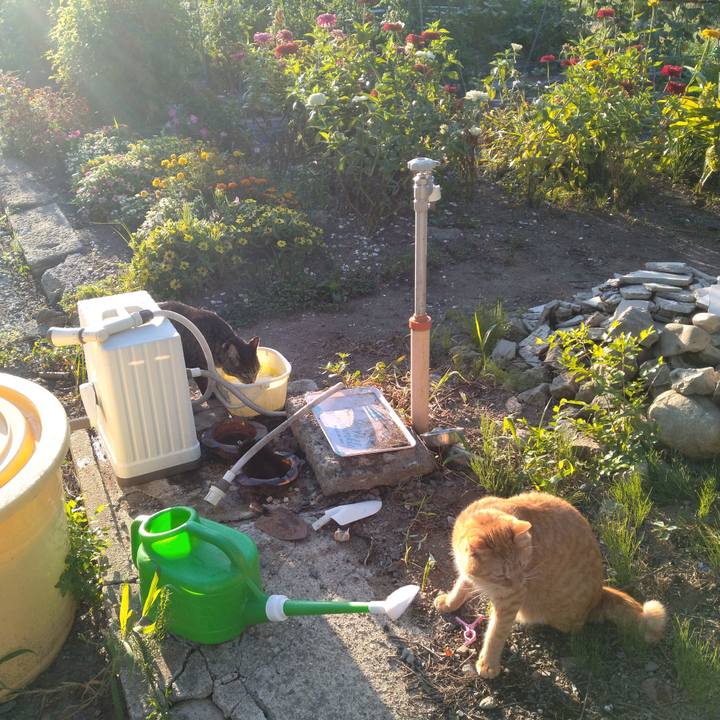 Ea570308 5276 43d0 88a5 2d37a6dd8047 1692657731715