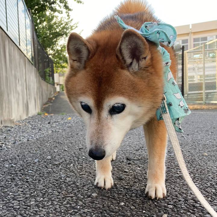 Ea578e61 a723 4e7f 96dc 6f01f2f4cc63 1724662517223