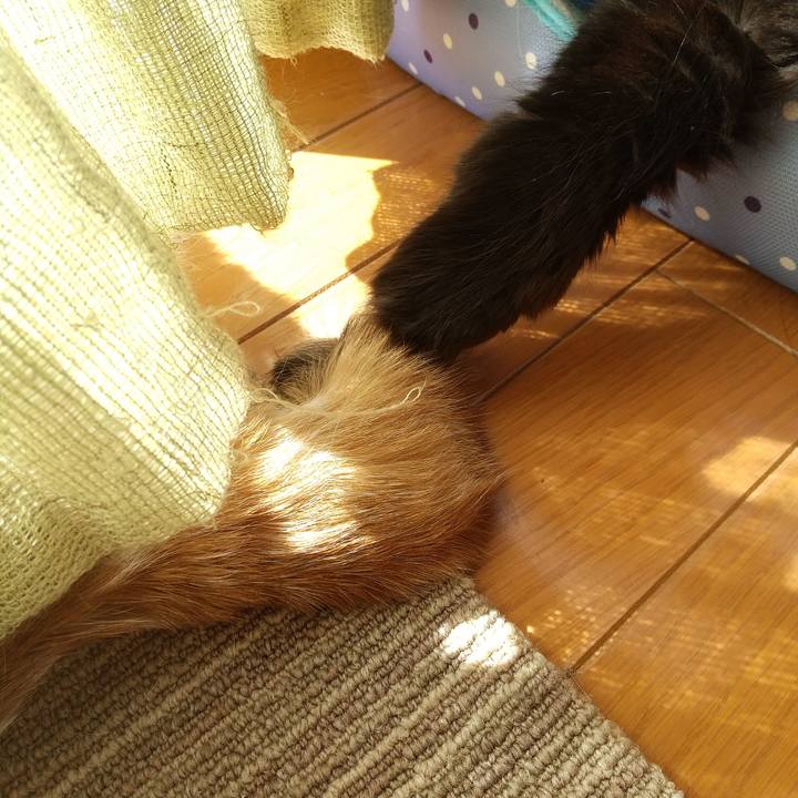 Ea57e8eb 0956 49ef 8a9b ba79457d5b4e 1603155463896