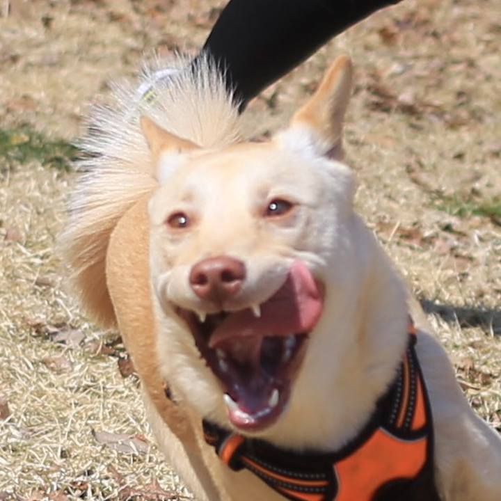 Ea580f40 ada6 41e2 8ed5 df09c8891a52 1522146749189