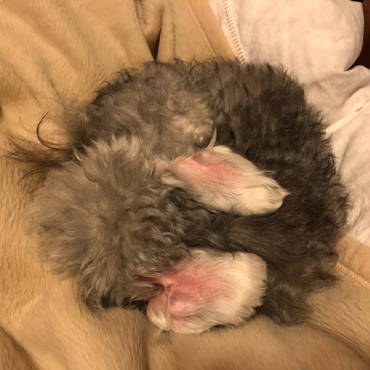 Ea581268 d12c 4aac ab29 784a28bb9a4a 1609337143773