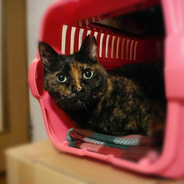 Ea583ae3 38f1 4917 a327 128ac9e54620 1523845453958