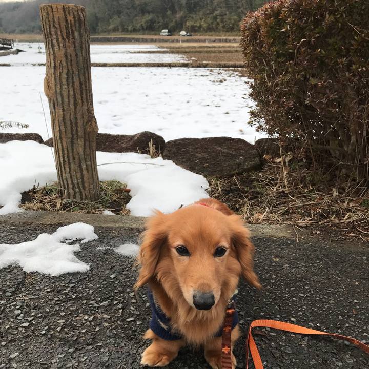 Ea584857 e230 47ed 9b85 6d015c8aba97 1517638591248